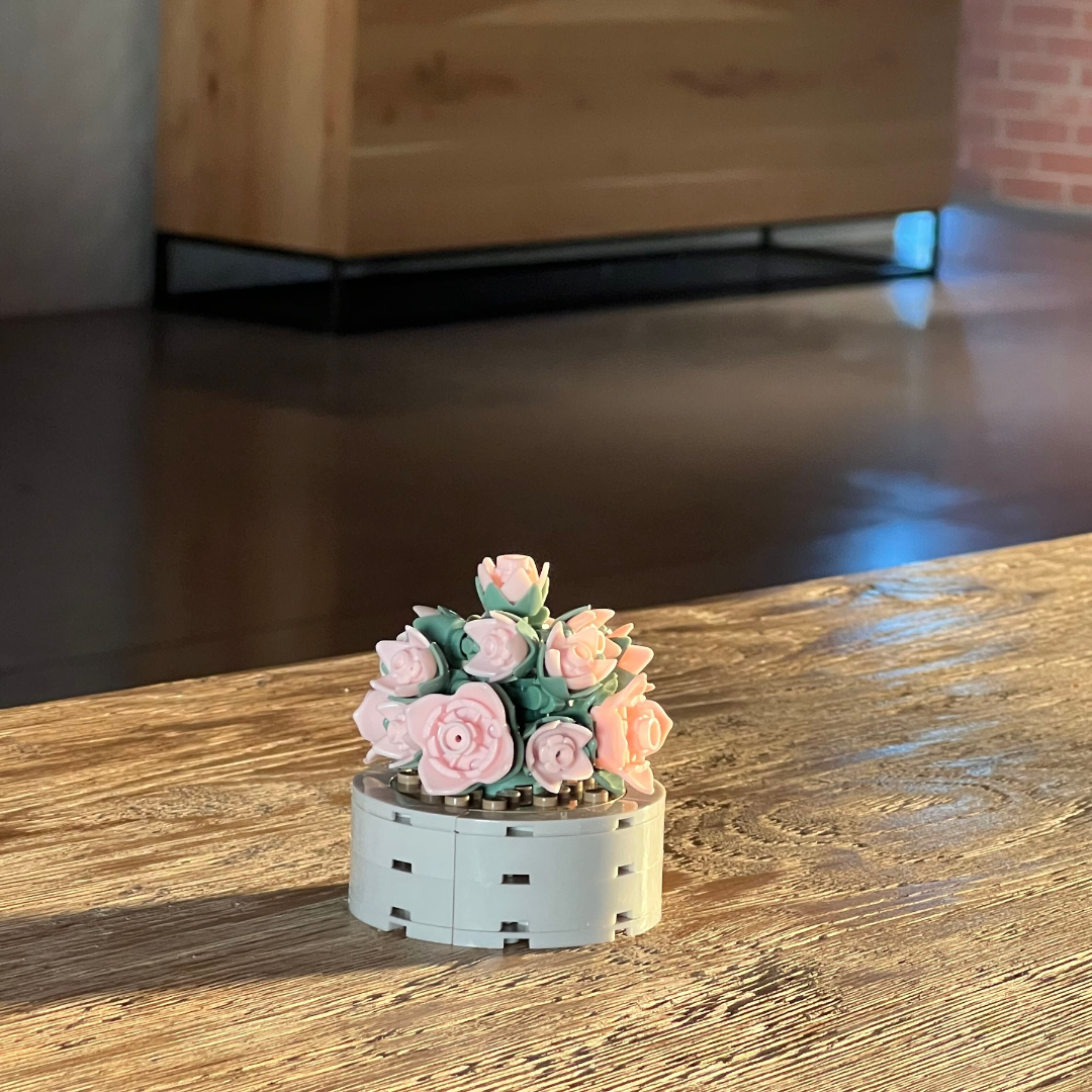 mountain rose succulent